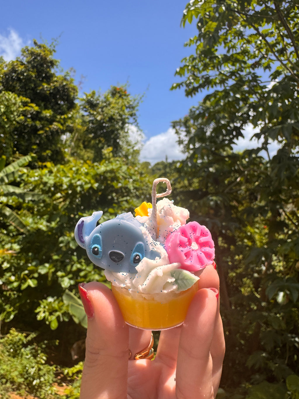 Paquete de fiesta “souvenirs”