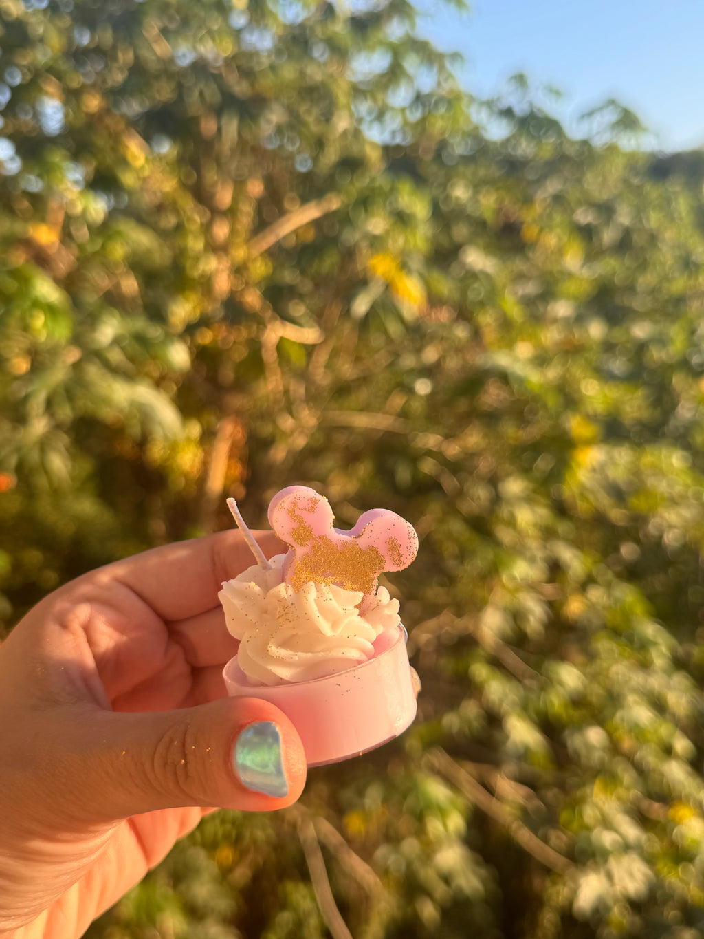 Paquete de fiesta “souvenirs”