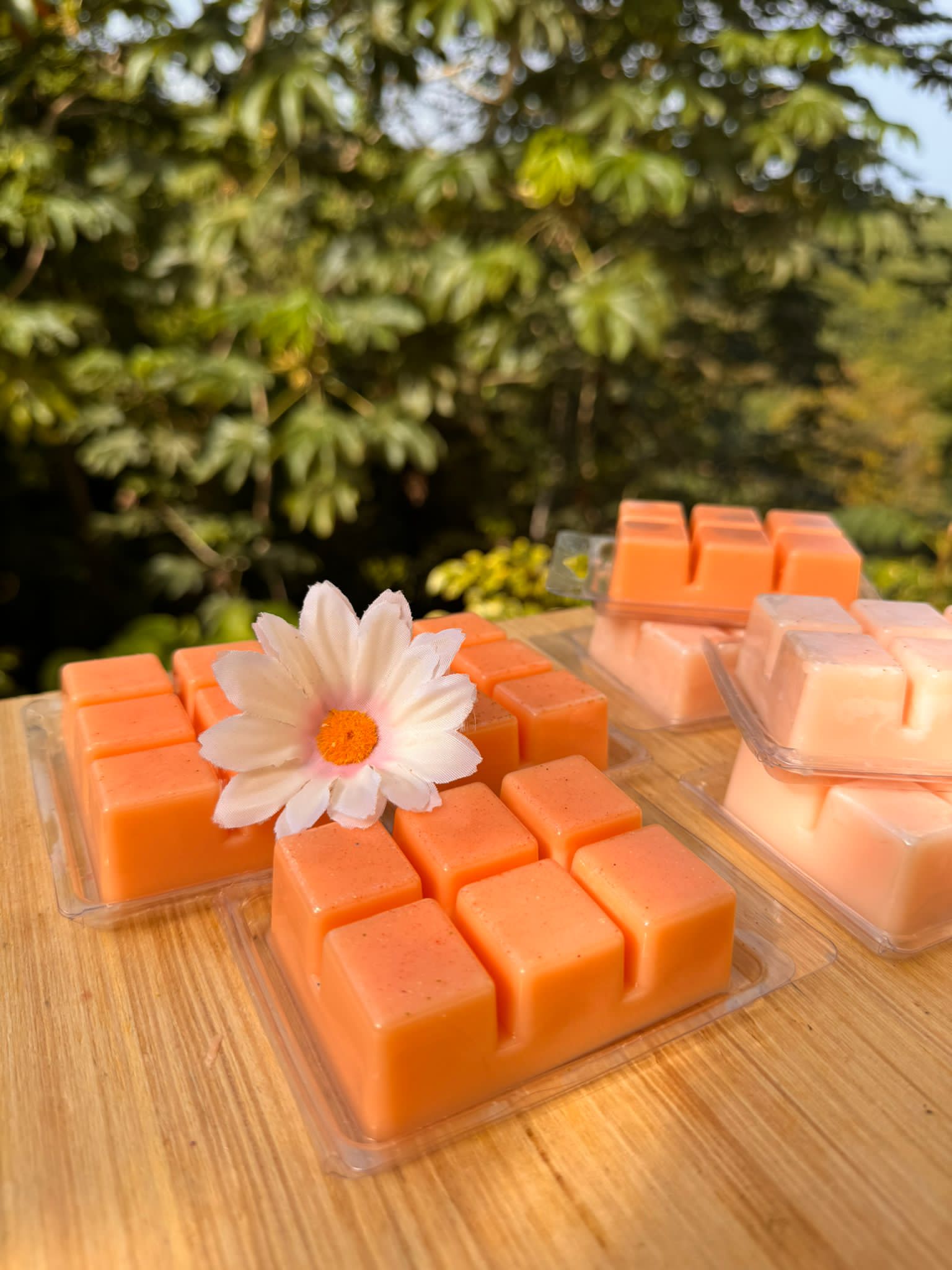 Mango tango - cera fundente