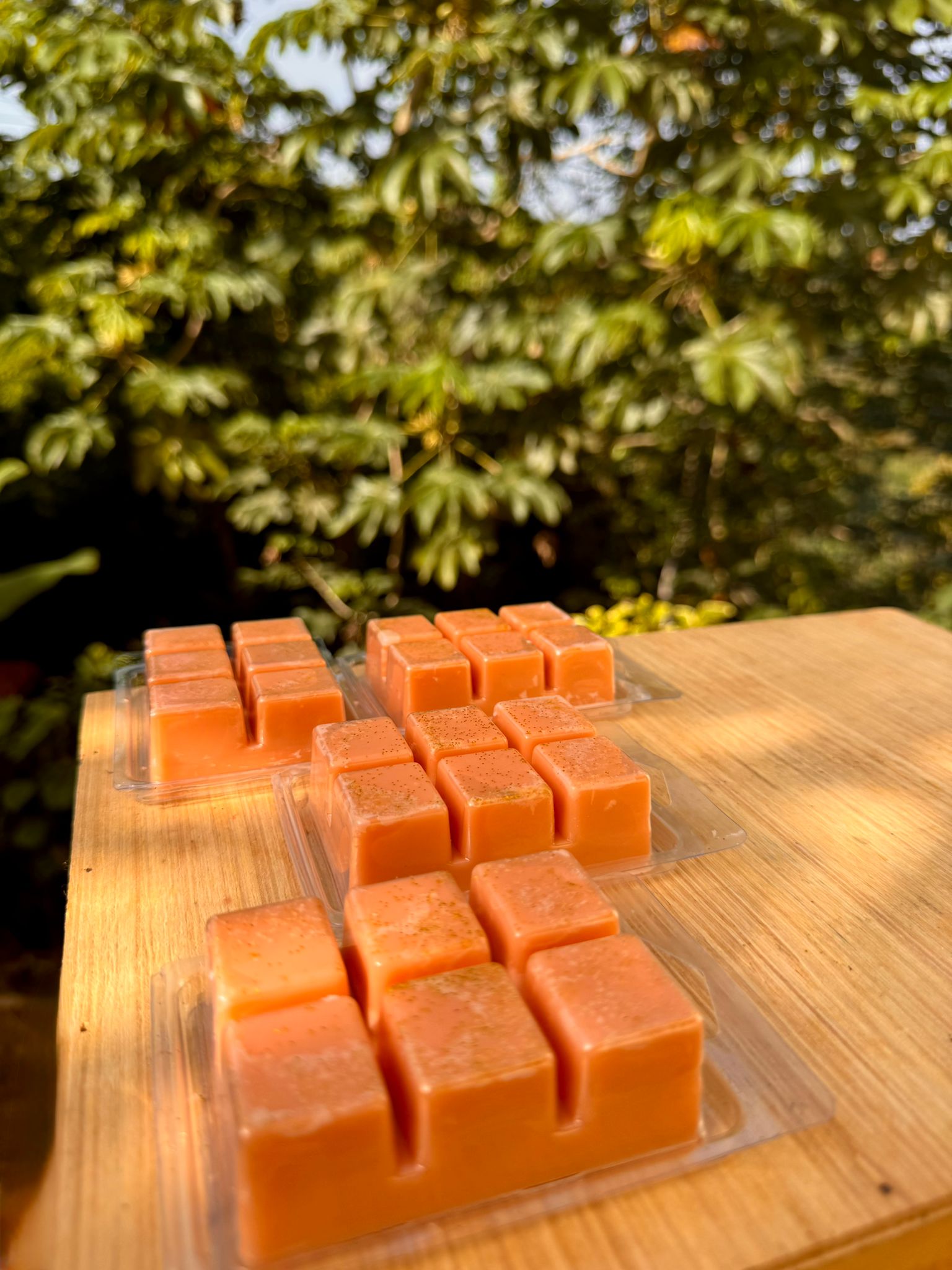 Mimosa - cera derretida