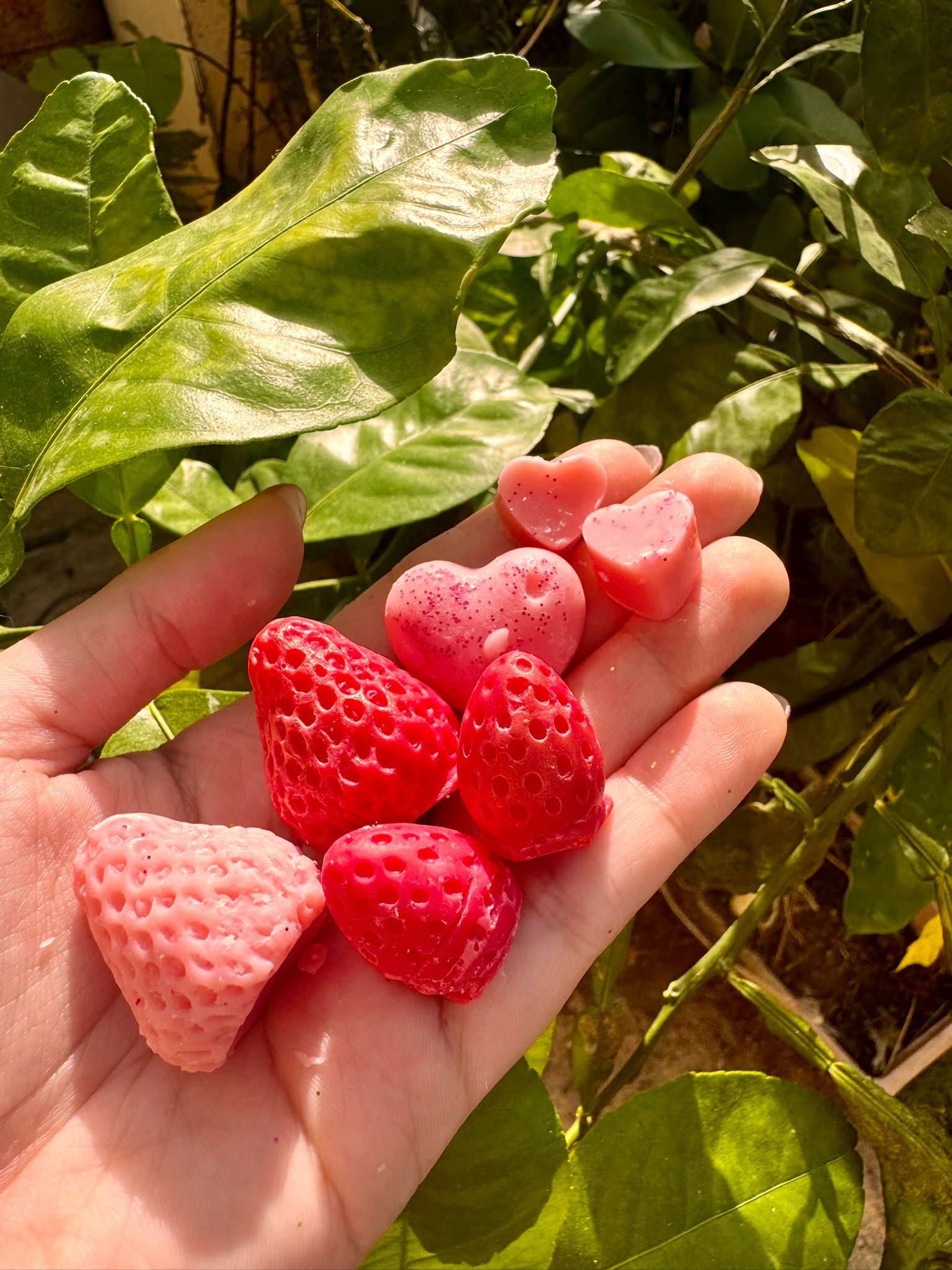 Fun Wax Melts - fresas