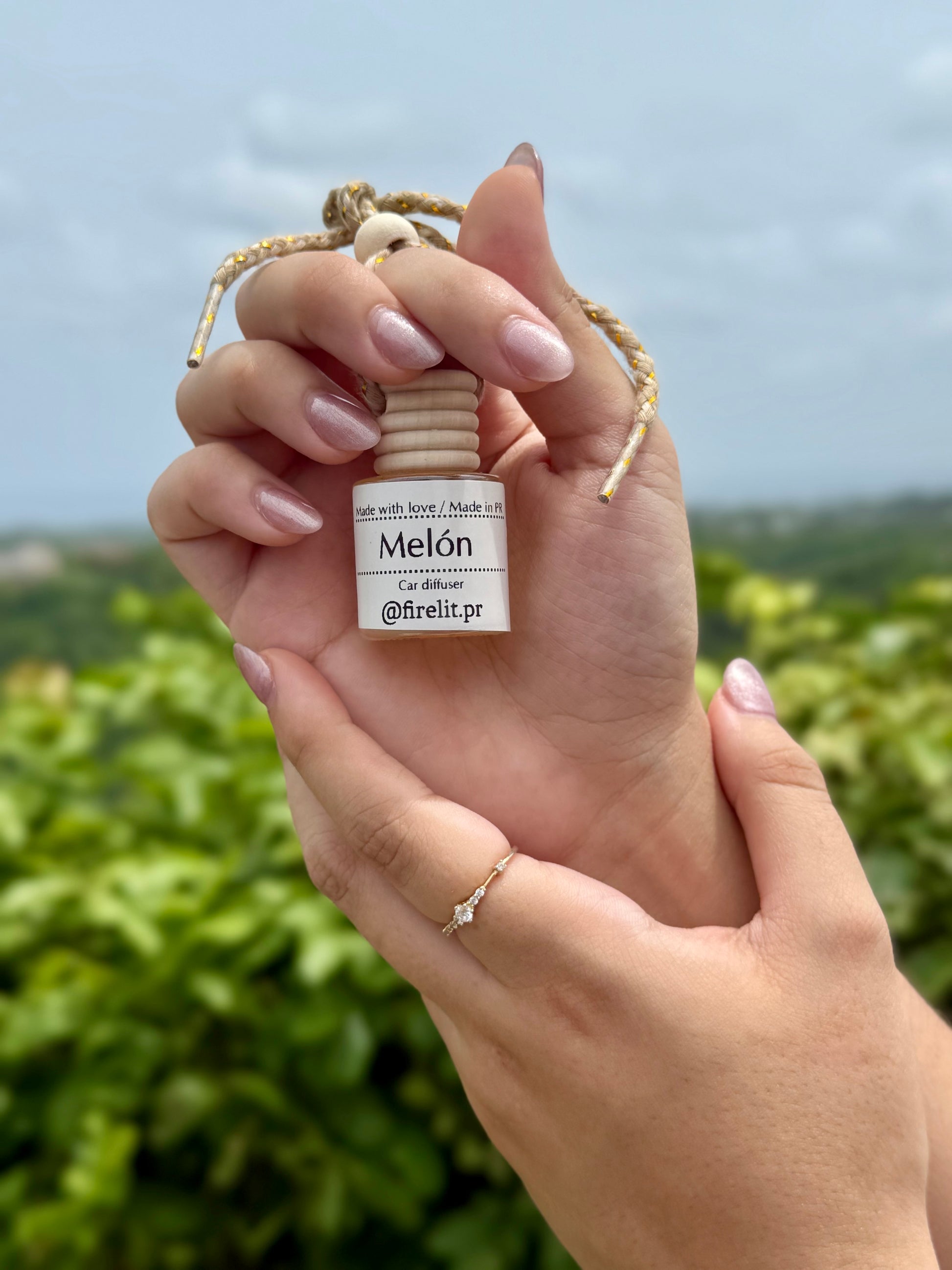 Difusor de melón para coche