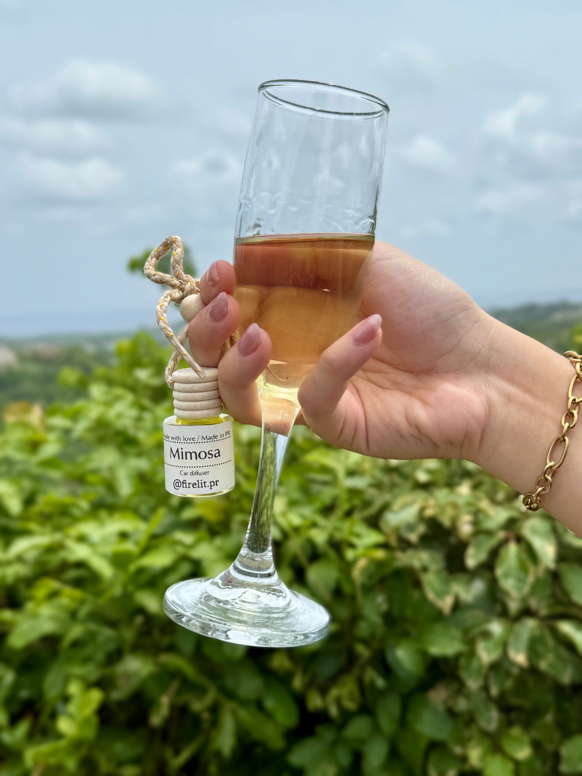 Mimosa - Difusor para coche